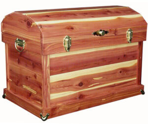 24 Inch All Cedar Trunk