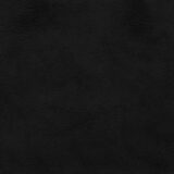 Westin Dining Chair with Black