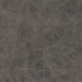 Westin Dining Chair with Gray