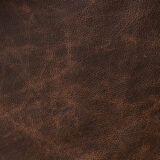 Westin Dining Chair with Texas