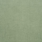 Westin Dining Chair with C2-16 Oasis (W)